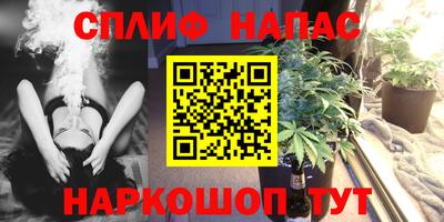 стафф Берёзовский