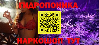 молекула духа Волжск