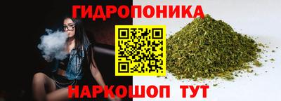 молекула духа Волжск