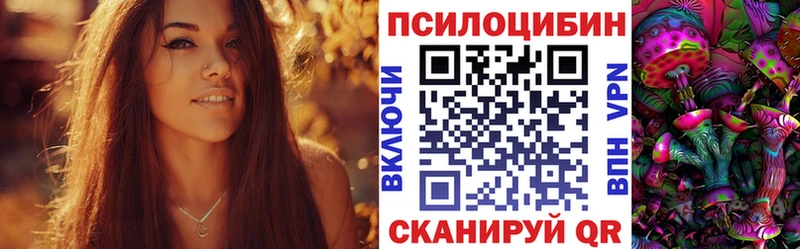 купить наркотик  Вятские Поляны  Псилоцибиновые грибы прущие грибы 
