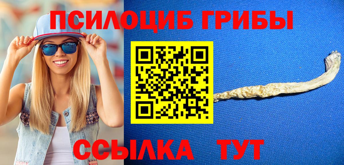 Псилоцибиновые грибы Psilocybe Вятские Поляны