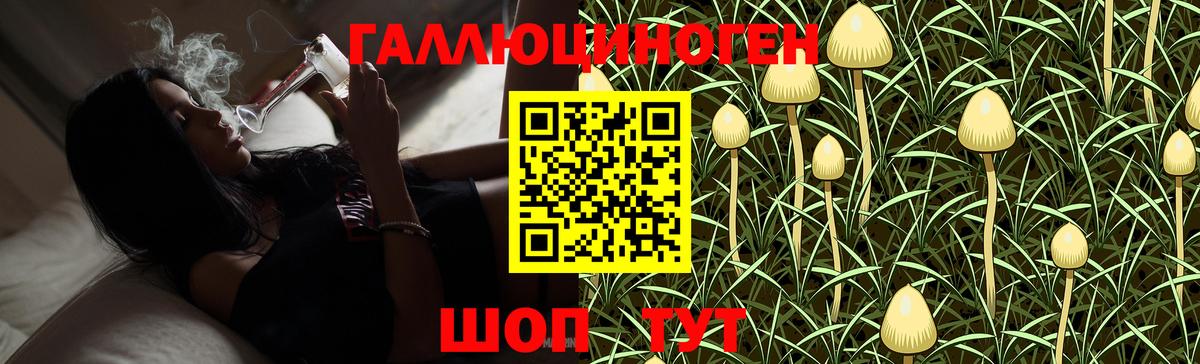 Галлюциногенные грибы MAGIC MUSHROOMS Вятские Поляны