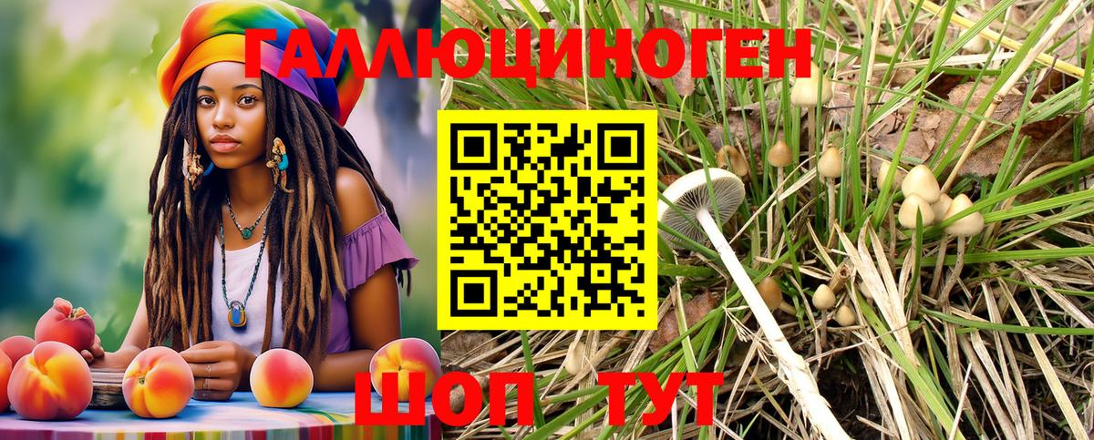 Псилоцибиновые грибы Cubensis  Вятские Поляны 