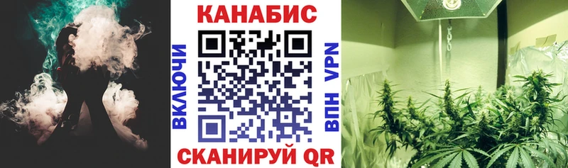 где купить наркоту  Вятские Поляны  Конопля Amnesia 